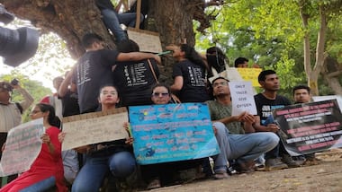 'Saplings cannot replace trees': Delhi’s citizens struggle to save the city's lungs