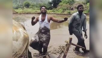 Kiki Challenge, Musical.ly and Aadhar: India has much to offer when it comes to things no one asked for