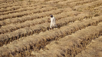 Four-day Agri-Science Congress to discuss farming tech kicks off in Delhi today