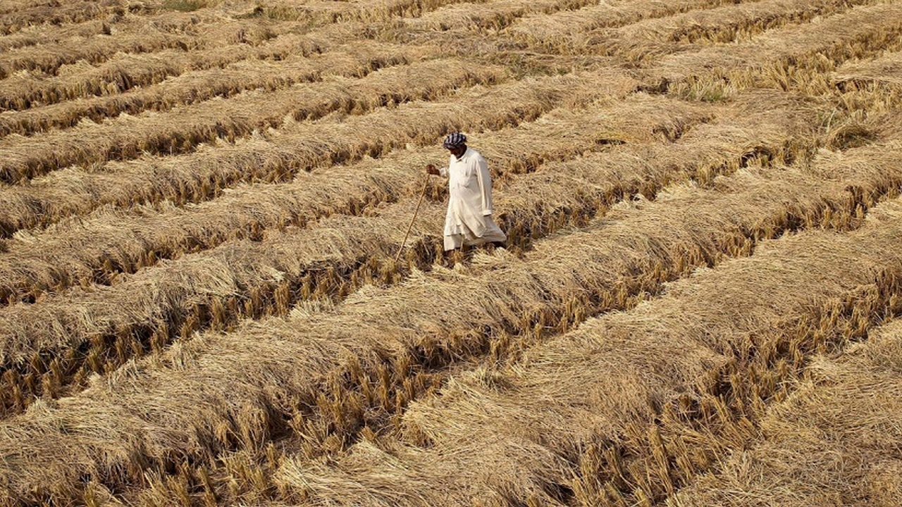 Four-day Agri-Science Congress to discuss farming tech kicks off in Delhi today Four-day Agri-Science Congress to discuss farming tech kicks off in Delhi today