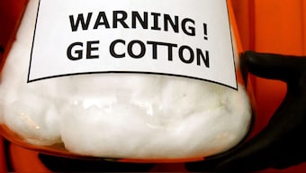Health epidemic looms as CSE finds unprecedented levels of GM genes in Indian foods