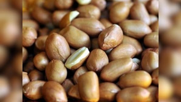 Congress accuses Gujarat government of Rs 4,000-crore scam in procurement of groundnuts, demands judicial probe by SC