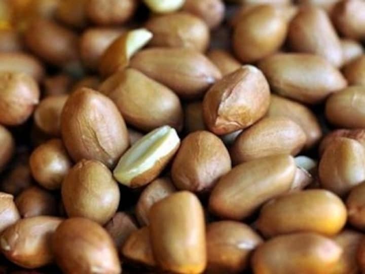 Congress accuses Gujarat government of Rs 4,000-crore scam in procurement of groundnuts, demands judicial probe by SC