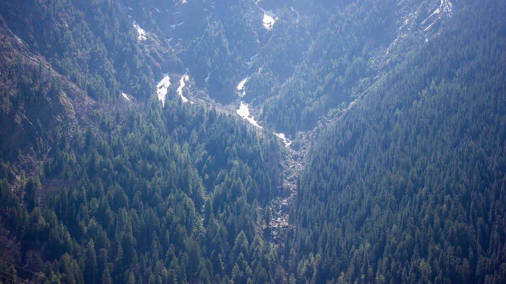 View of the dense forest opposite Sukkhi village that is threatened in the original design of the Char Dham Highway Development Project. Photo courtesy Siddharth Agarwal