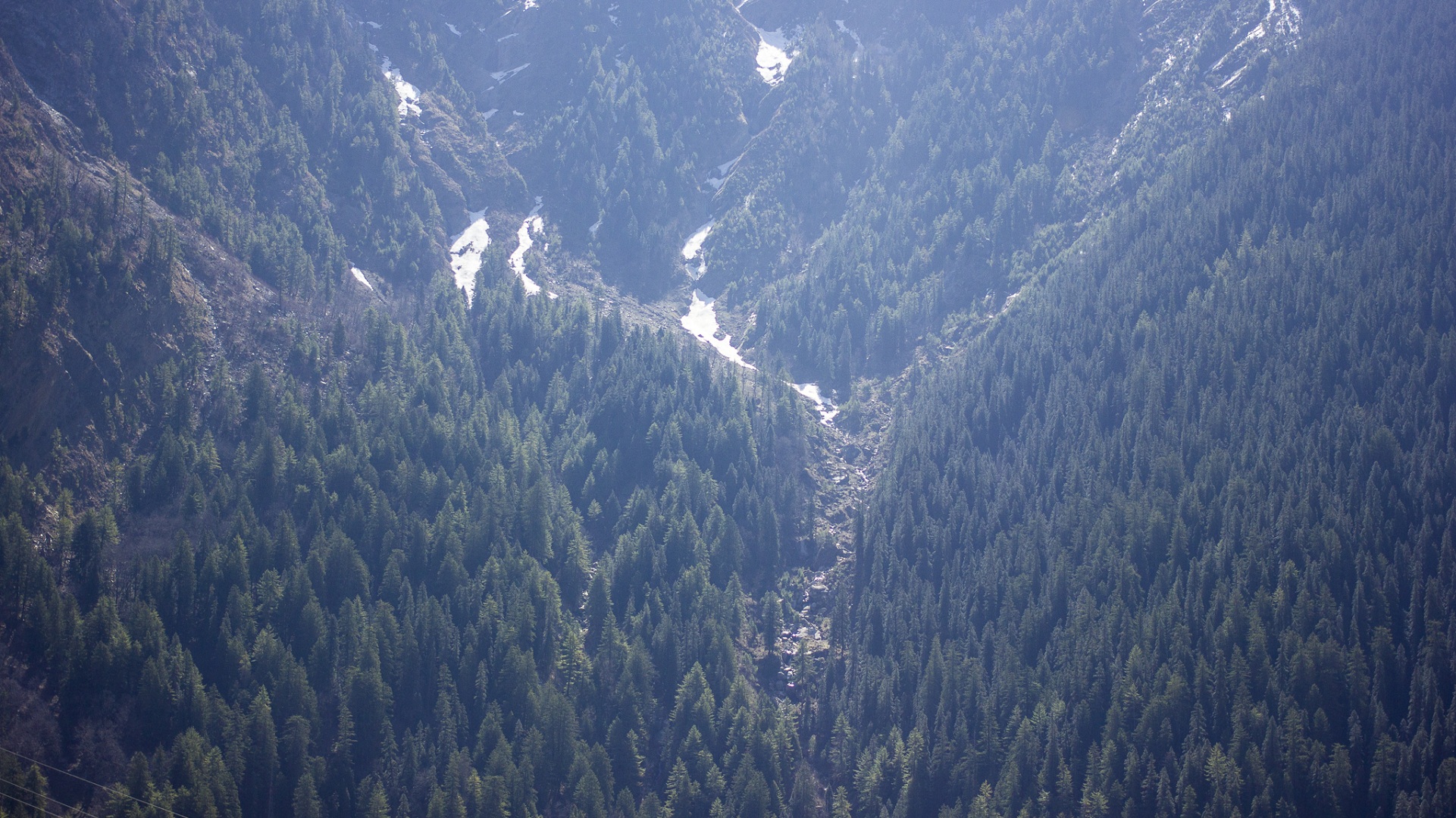 Char Dham Road Project: Stairway to heaven or highway to hell? Char Dham Road Project: Stairway to heaven or highway to hell?