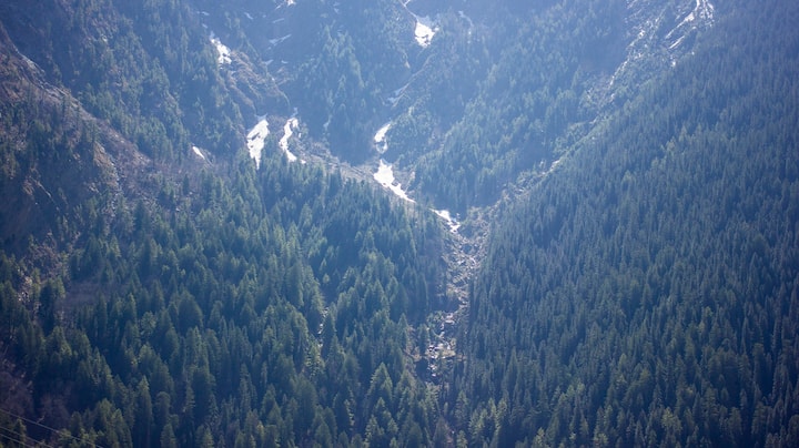 Char Dham Road Project: Stairway to heaven or highway to hell?