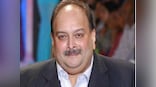 PNB fraud case: Mehul Choksi moves Bombay High Court against non-consideration of plea on health grounds