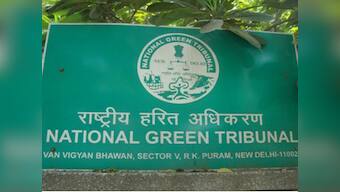 NGT directs former Uttarakhand DGP to pay Rs 46 lakh fine for illegal purchase of reserve forest land, felling of 25 trees