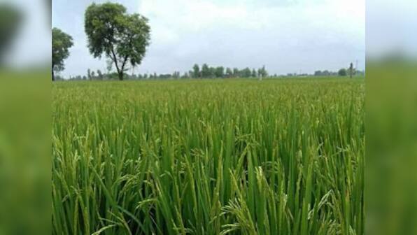 Minimum support price: Poll gimmicks cannot alleviate farm distress, government steps woefully inadequate