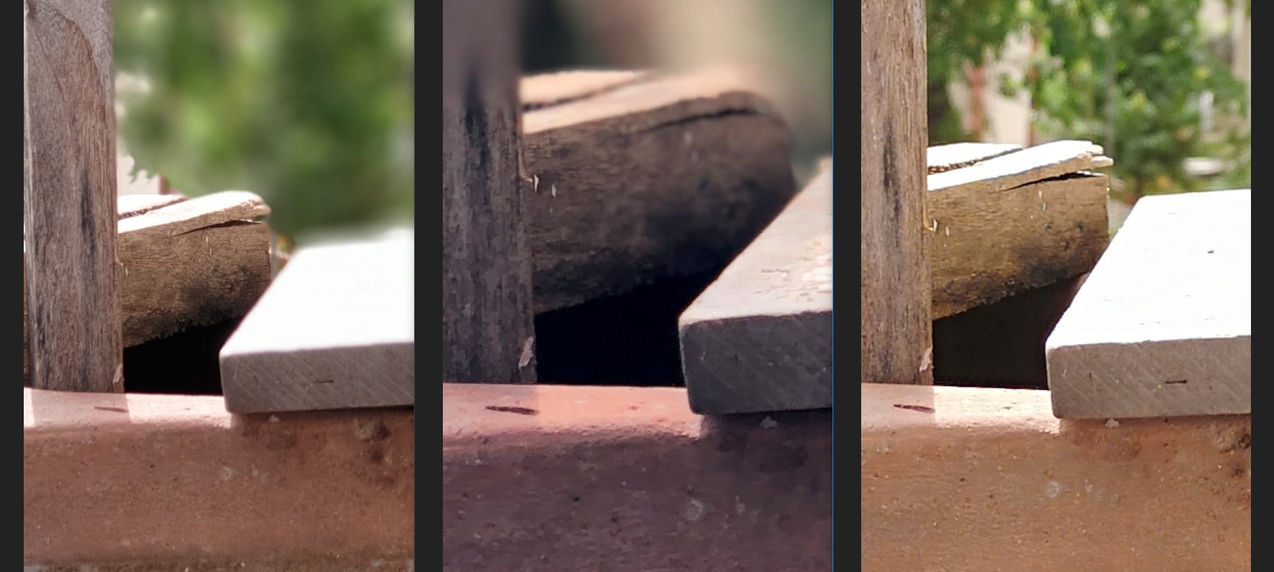 The bokeh effect on smartphone cameras still fall short. Image: tech2/ Sheldon Pinto.