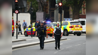 Car crashes into barriers near UK Parliament in Westminster, wounds several pedestrians; man held on suspicion of terror offences