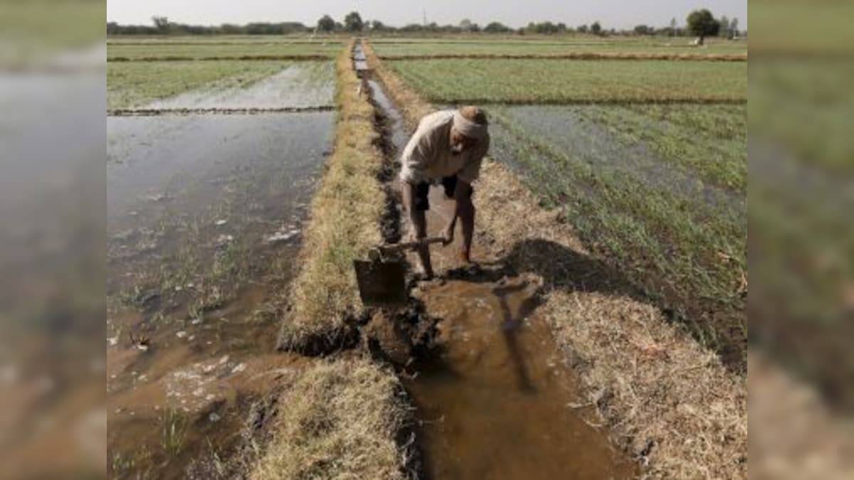 Narendra Modi govt's hike in MSPs for kharif crops well below ones announced under UPA: RBI