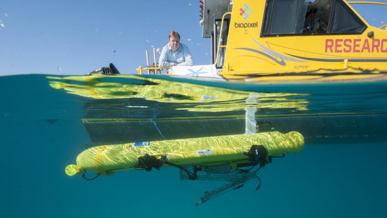 Australia unveils starfish-killing robot to protect the Great Barrier Reef Australia unveils starfish-killing robot to protect the Great Barrier Reef
