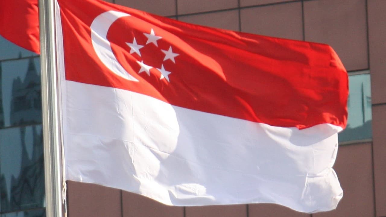флаг сингапура картинки