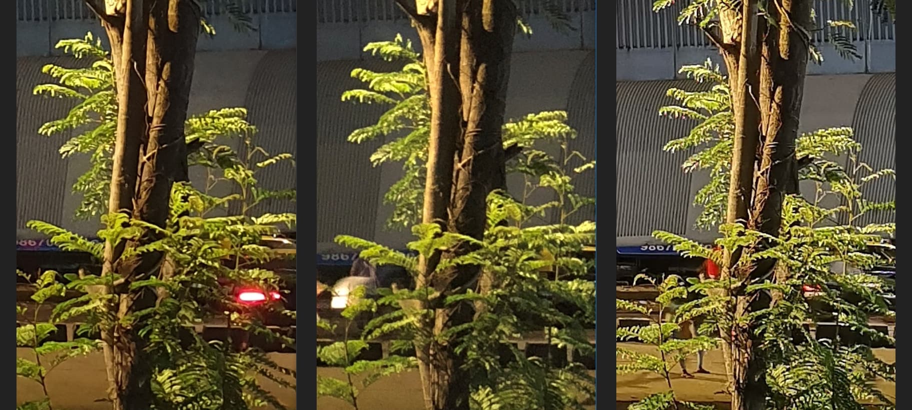 Over sharpening its images turned out to be a problem for the P20 Pro in low light. Pixel peeping shows how aggressive noise reduction on the P20 Pro kills the details. Image: tech2/ Sheldon Pinto.