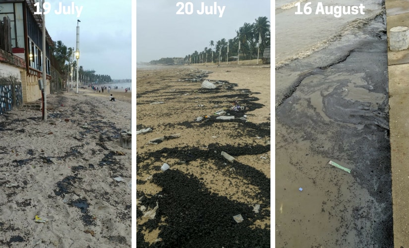 Tar balls washed up in Juhu beach on 19 and 20 July and 16 August. Marine Life of Mumbai
