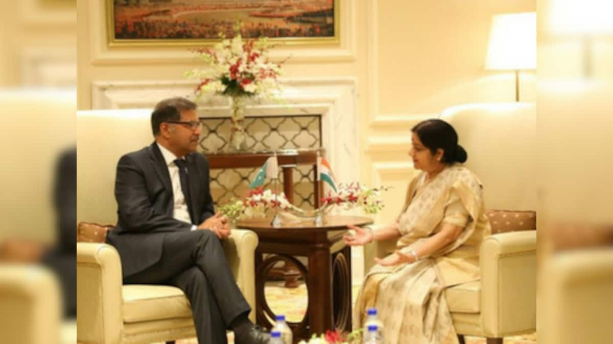 Pakistan's interim Law Minister Syed Ali Zafar meets Sushma Swaraj, condoles Atal Bihari Vajpayee's demise