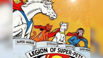 The LEGO Batman Movie writer Jared Stern likely to direct and write Super Pets for Warner Bros.