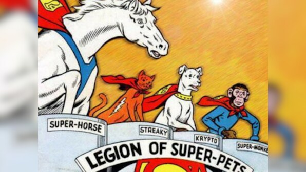 The LEGO Batman Movie writer Jared Stern likely to direct and write Super Pets for Warner Bros.
