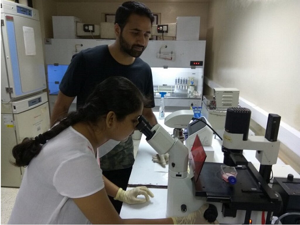 Proteins used by Encephalitis-causing virus to enter brain cells identified