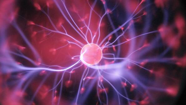 This 3D 'organ on a chip' can monitor cells in real-time to develop new treatments
