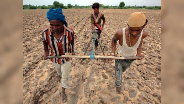 Maharashtra declares 115 tehsils as 'cotton growing' areas; officials say textile units to be set up based on production