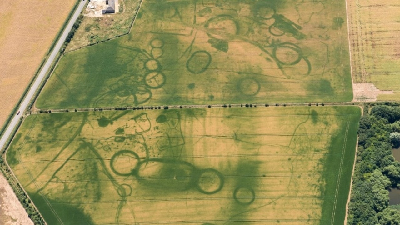 The cropmarks that have recently appeared. Reuters