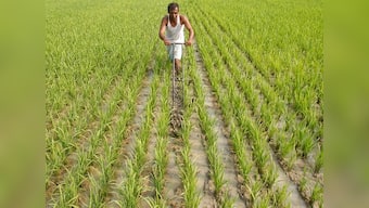Land reforms in India remain a stalled and forgotten agenda; no progress made on CSLR report on issue