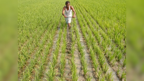 India's struggle with climate change: Karnataka farmer couple turns to govt subsidy and machines to flourish