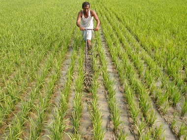 India's struggle with climate change: Karnataka farmer couple turns to govt subsidy and machines to flourish India's struggle with climate change: Karnataka farmer couple turns to govt subsidy and machines to flourish