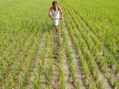 Farmers still unaware of details of Pradhan Mantri Fasal Bhima Yojana, says survey
