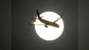 From bees on windscreen to snakes in cockpit, a look at how reptiles and rodents can threaten aviation safety