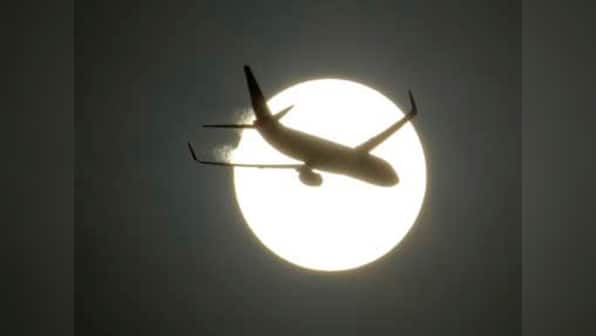 From bees on windscreen to snakes in cockpit, a look at how reptiles and rodents can threaten aviation safety