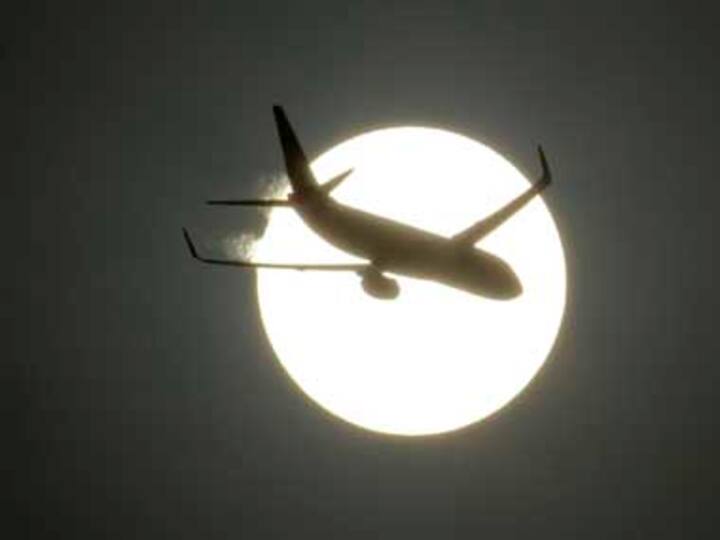 From bees on windscreen to snakes in cockpit, a look at how reptiles and rodents can threaten aviation safety