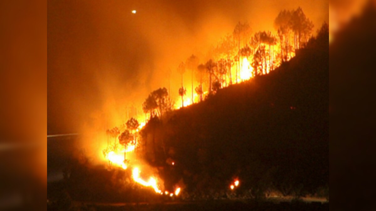 Fire rages across Indonesia's Sumatra, Borneo islands; residents suffer from respiratory problems, sore eyes due to smell of burning foliage