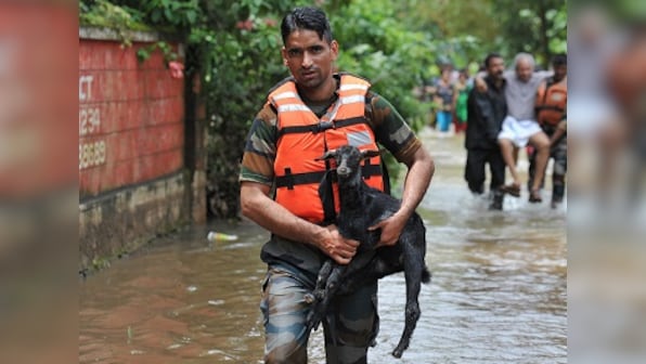 Hapless animals die awaiting help amid Kerala floods; rescue teams scramble to help the ones stranded, abandoned