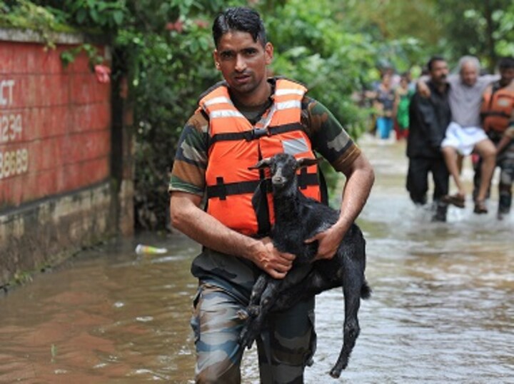 Hapless animals die awaiting help amid Kerala floods; rescue teams scramble to help the ones stranded, abandoned