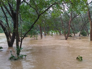 Kerala rains: Navy evacuates 55 people from flood-hit areas; diving teams deployed in Wayanad and Aluva Kerala rains: Navy evacuates 55 people from flood-hit areas; diving teams deployed in Wayanad and Aluva