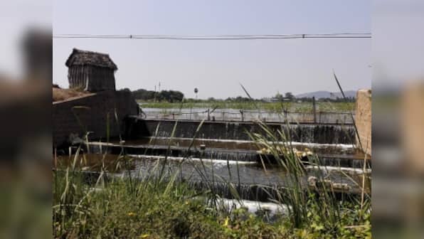 India's water crisis: Lessons from Madurai, a city that adopted tanks and suffered after abandoning them
