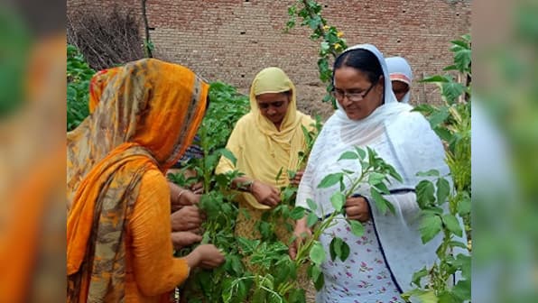 Women in Punjab’s Bhotna village say no to 'cancerous farming', adopt organic methods to save state's soil