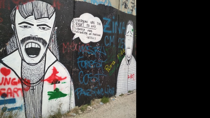 Palestine in photos: On the Segregation Wall, messages of solidarity