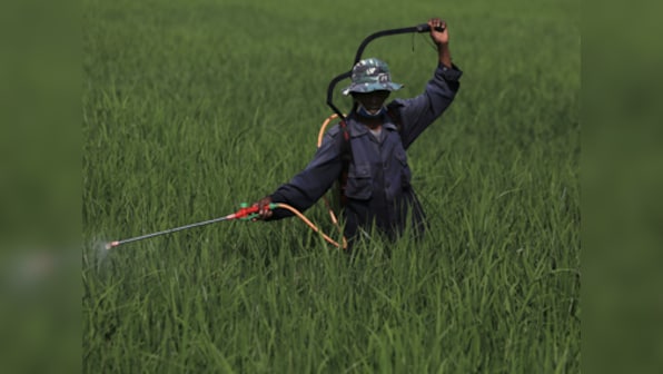 Dewayne Johnson wins lawsuit against Monsanto: Case highlights hazardous effects of pesticide Roundup