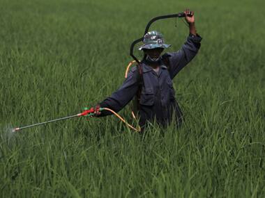 Fertiliser stocks gain as cabinet approves new procurement policy to ensure remunerative prices to farmers