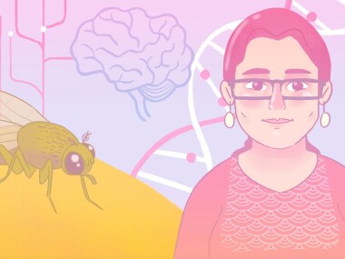 Women in Science: Neurobiologist Pinky Kain studies how fruit flies make feeding decisions and process taste