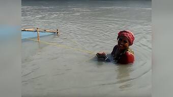 Tiger prawns collected by women of the Sundarbans are a global delicacy, but collectors remain a neglected lot