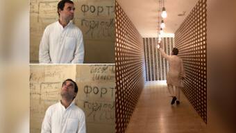 Congress shares pictures from Rahul Gandhi's visit to Germany; Twitterverse gets fodder for memes