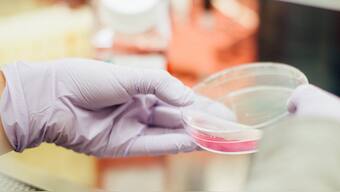 Coded light-emitting nano particles can help detect and diagnose cancer