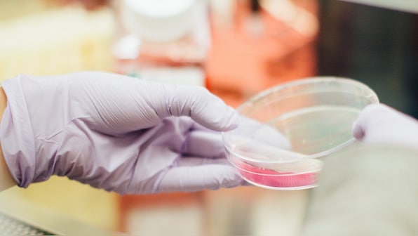 Coded light-emitting nano particles can help detect and diagnose cancer
