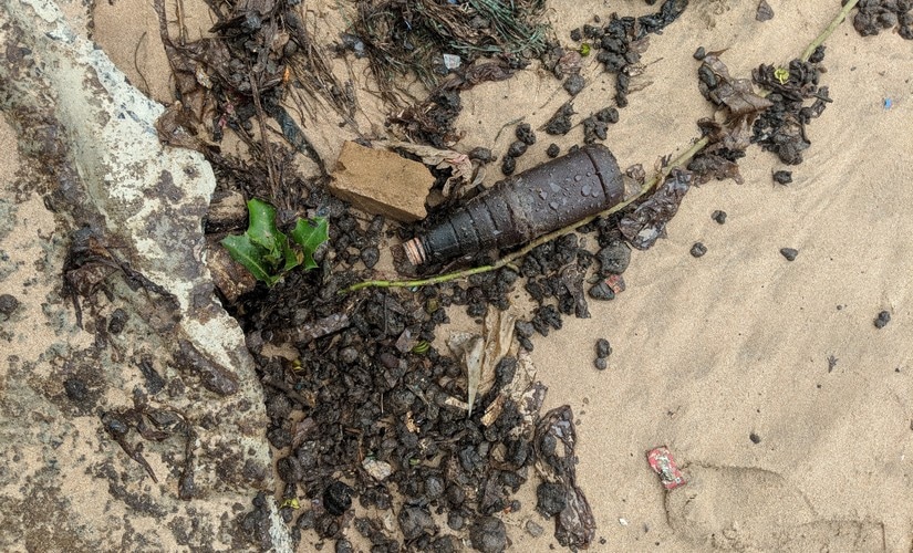 Tar balls washed up in Gujarat coast. MSH Sheikh