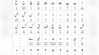 Urdu in the internet age: Experts weigh in on how the language must adapt, evolve to become more accessible